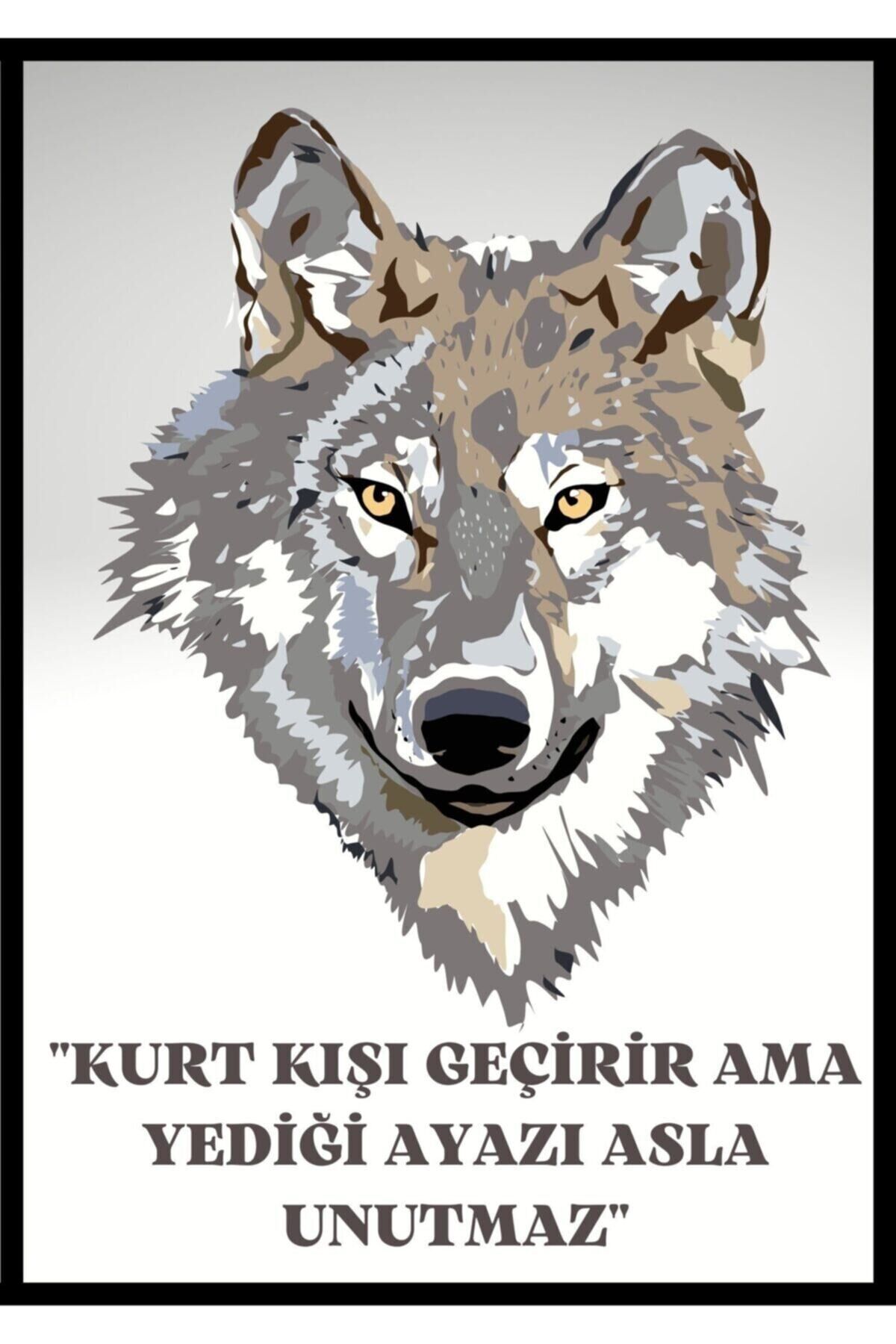 Kurt Görselli Duvar Yazıları Retro Ahşap Poster