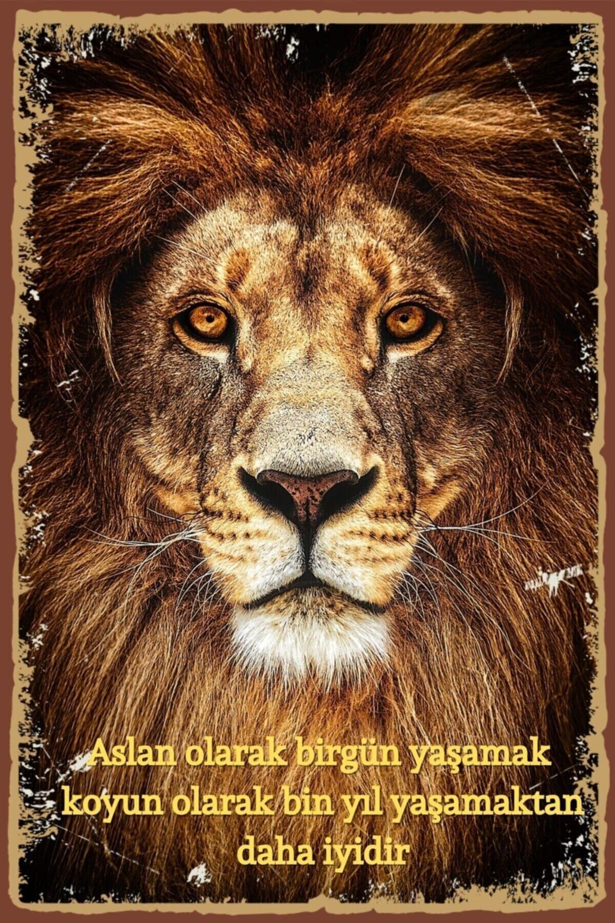 Aslan Olarak Yaşamak Retro Ahşap Poster