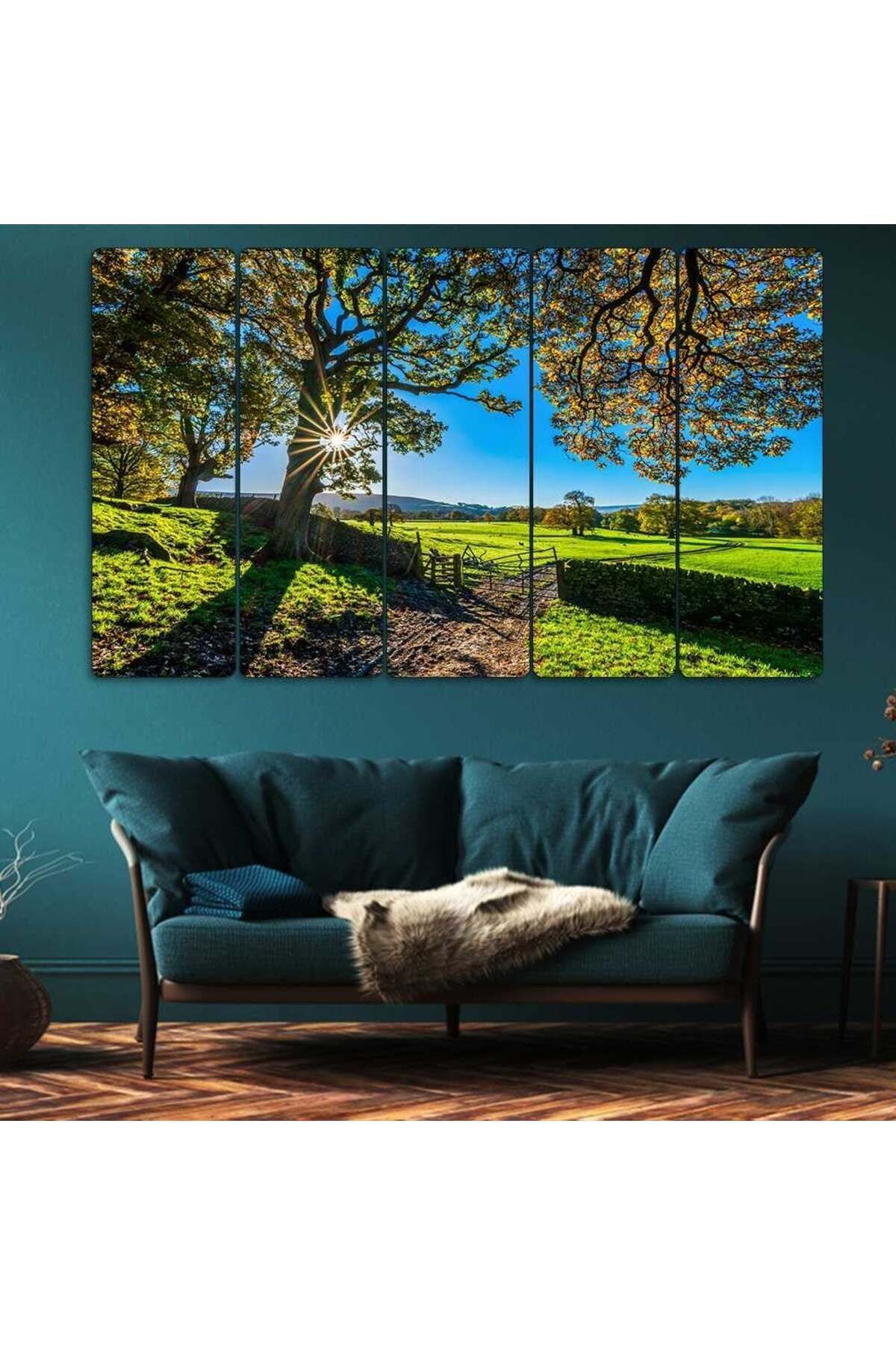 Ağaçtan Yansıyan Güneş, Manzara - 5 Parçalı Tablo