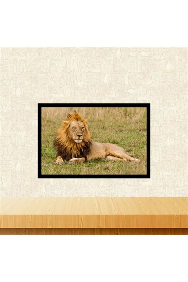 Aslan Tasarımlı 20-30 cmRetro Ahşap Tablo Tkfx6039