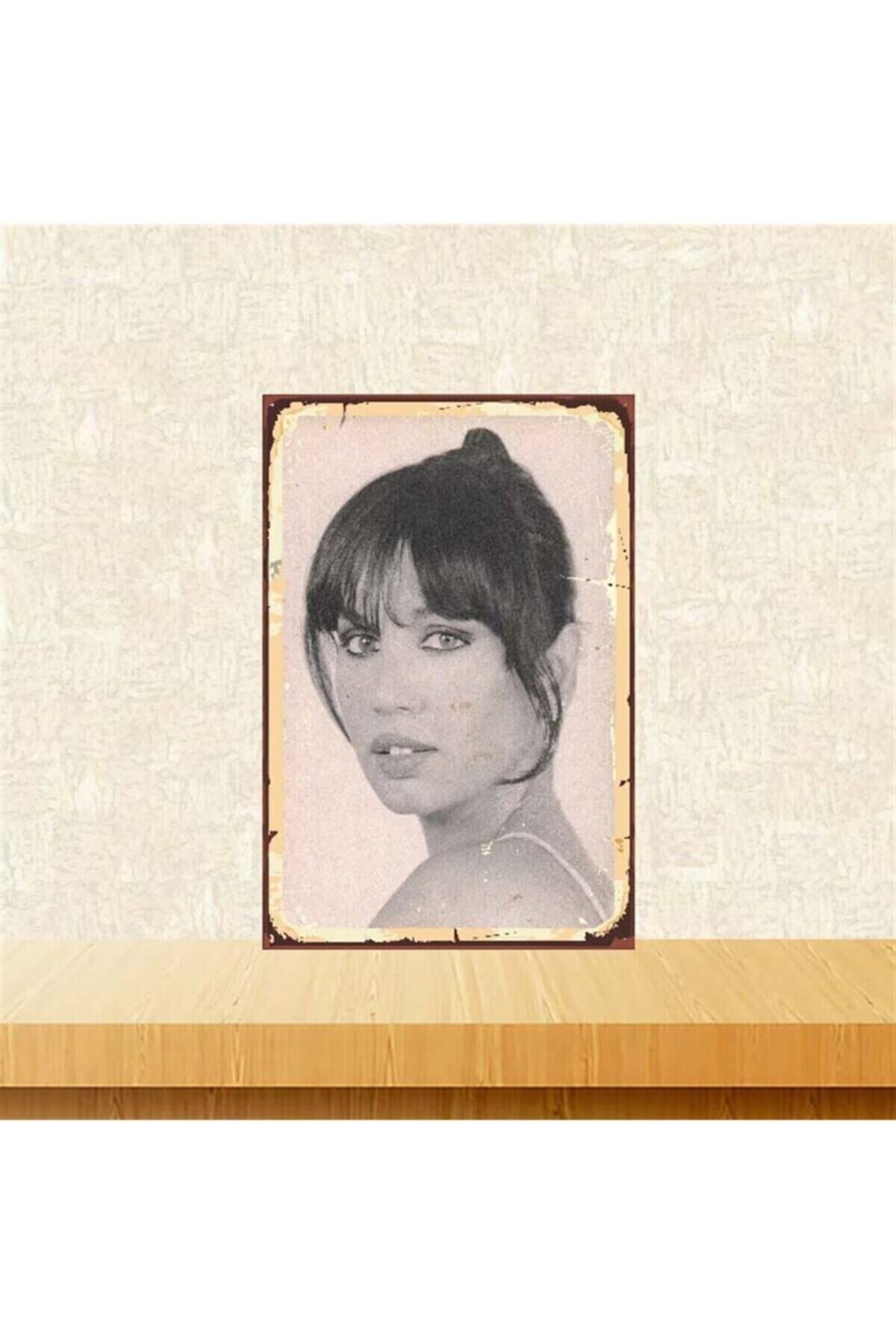 Sezen Aksu 20-30 cm Retro Ahşap Poster Tkfx3888