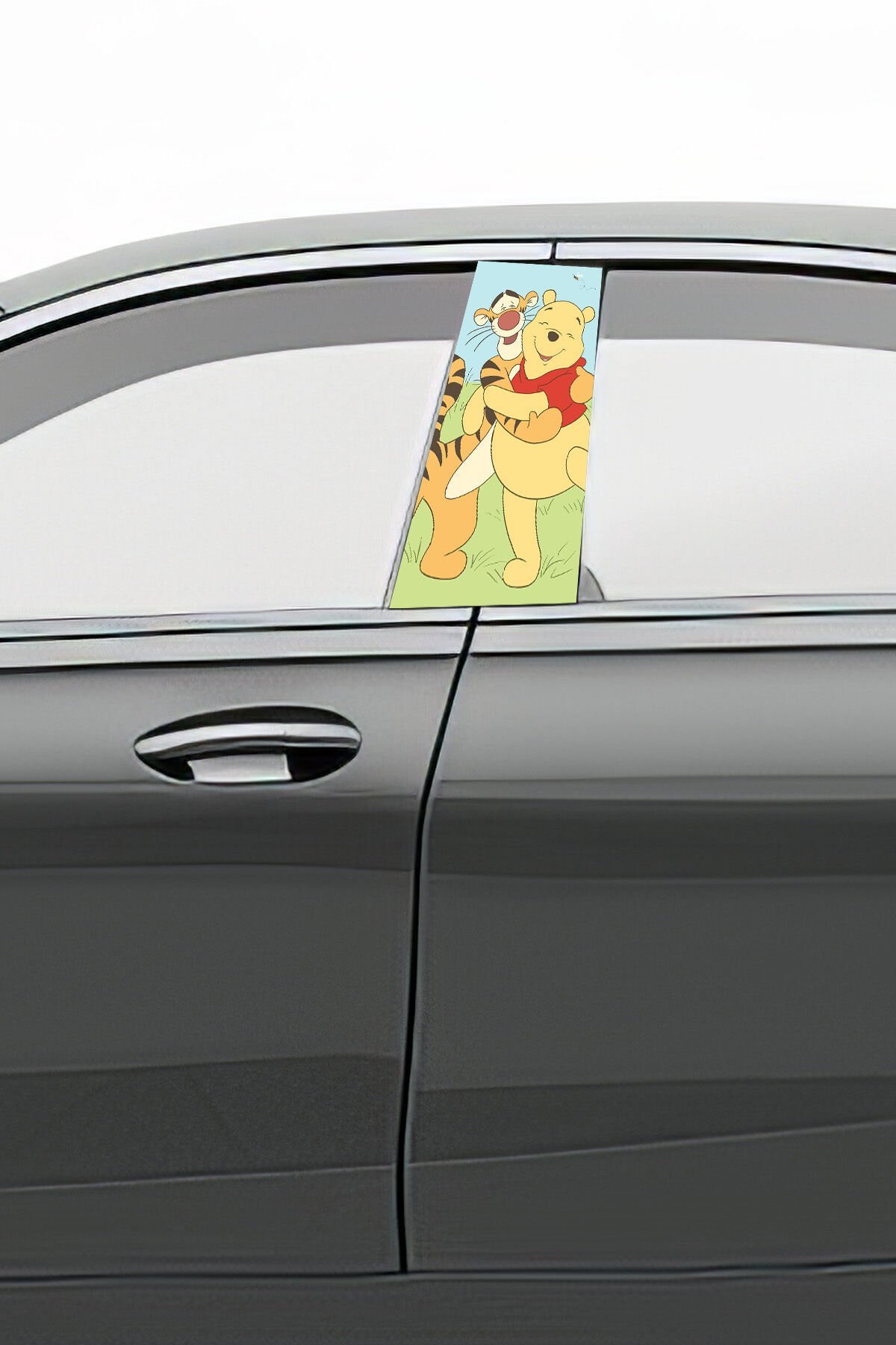 Araç Kapı Direk Kaplama Folyosu Desenli (Sağ Sol Takım) (2 Adet) - 22x50 Cm