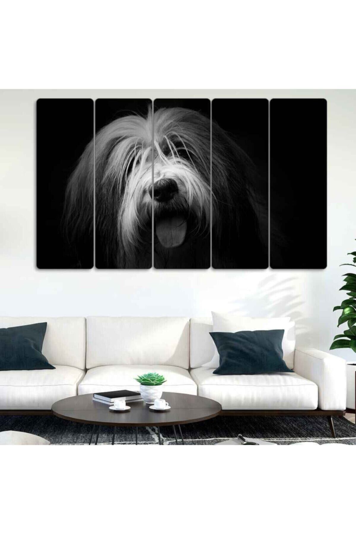 Köpek - 5 Parçalı Tablo