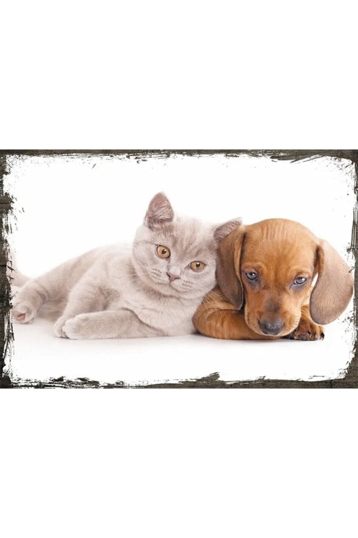 Kedi & Köpek Dostluğu Retro Ahşap Poster