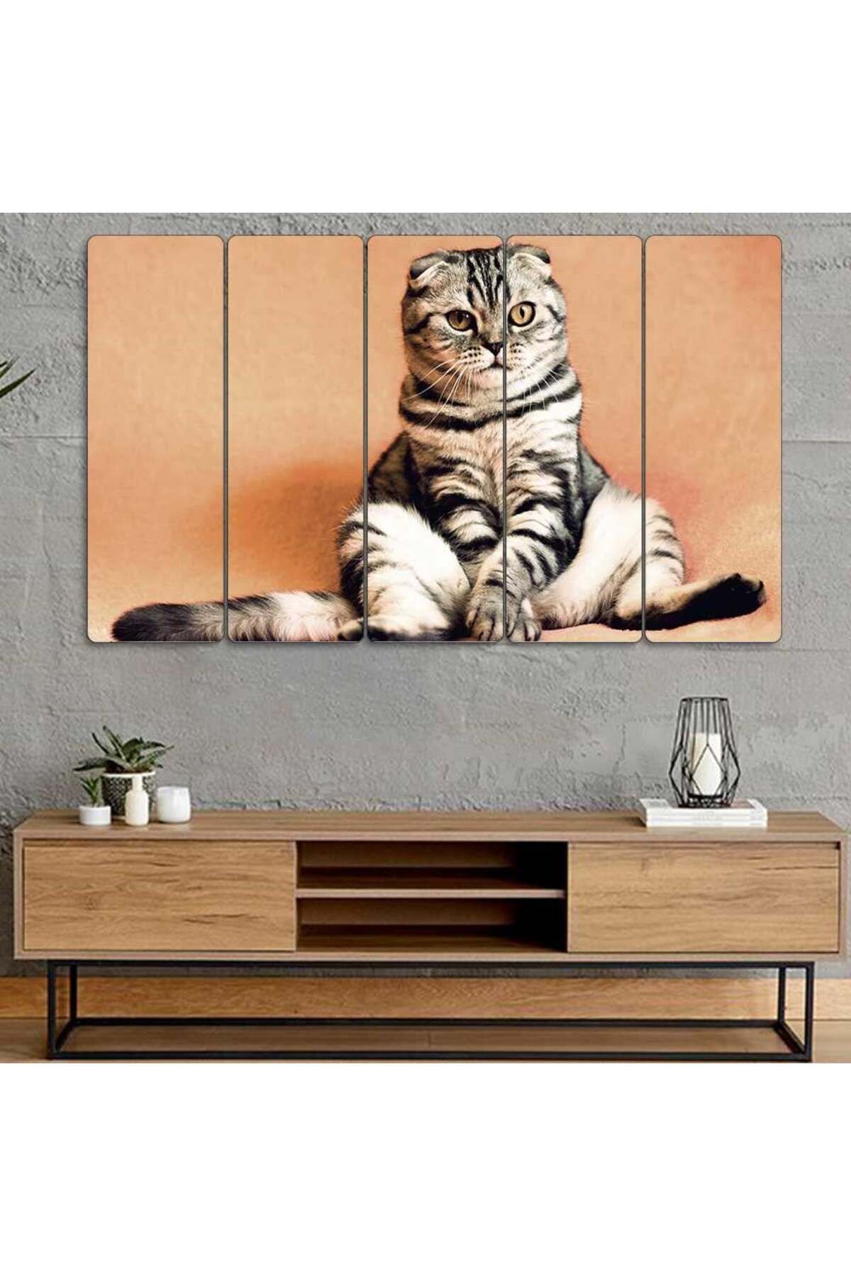 Oturan Scottish Kedi - 5 Parçalı Tablo