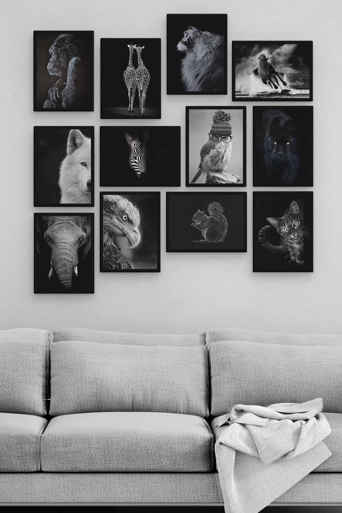 Siyah Beyaz Hayvanlar 12 Parça Ahşap Mdf Tablo Zlltb182