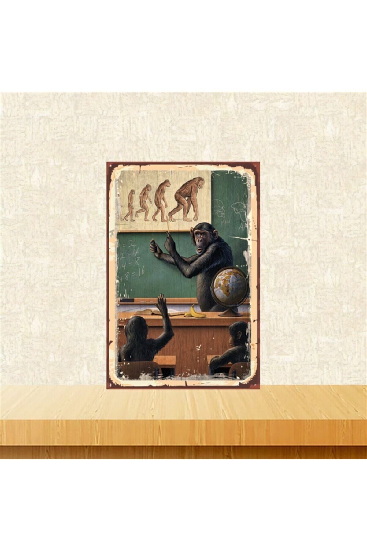 Evrim Teorisini Anlatan Maymunlar 20-30 Cm Retro Ahşap Tablo Tkfx4637
