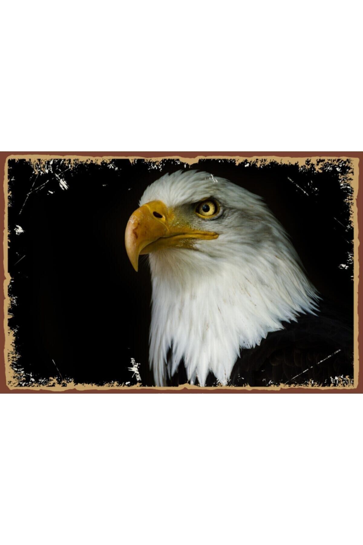 Kartal Görselli Retro Ahşap Poster