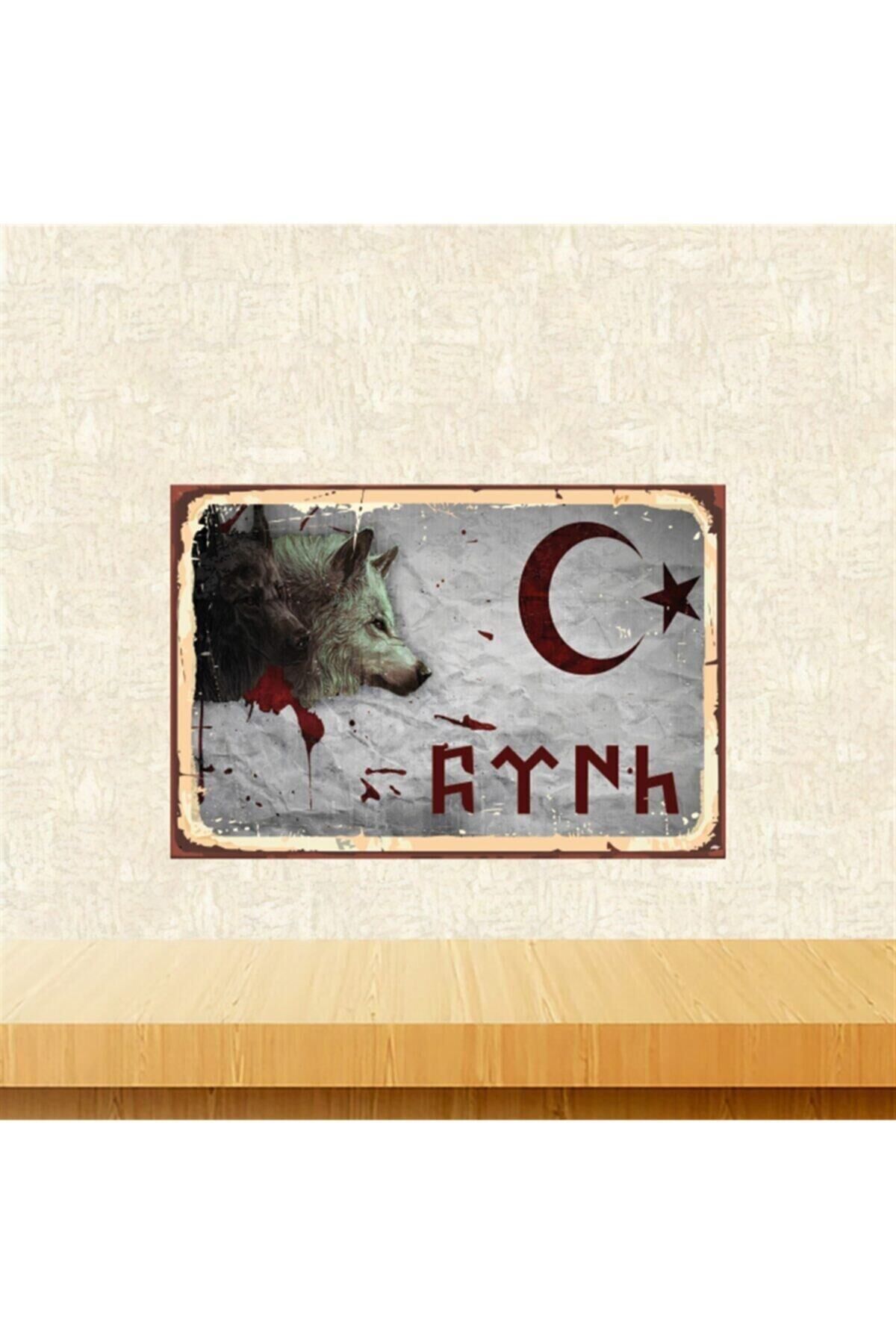 Kurt Ve Ayyıldız 20-30 Cm Retro Ahşap Tablo Tkfx4643