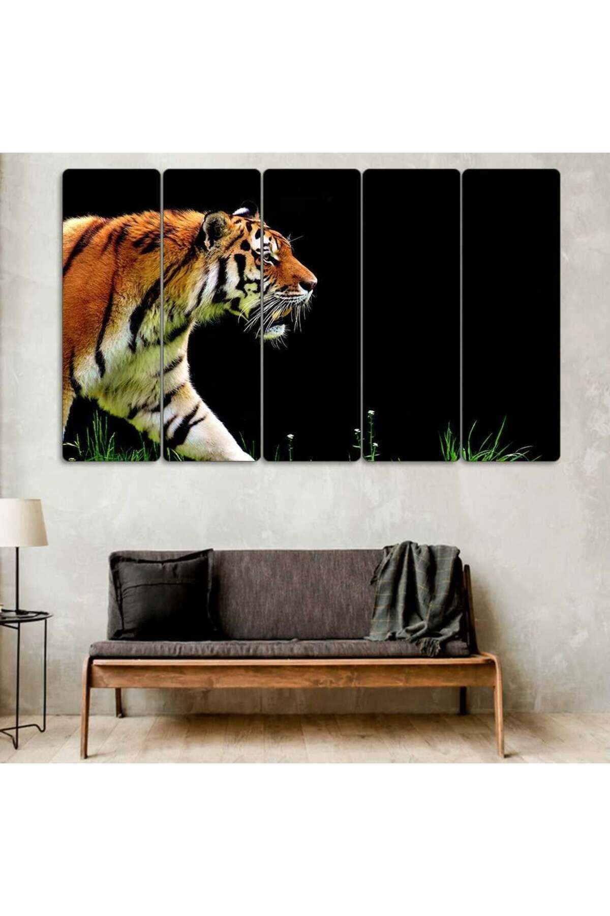 Kaplan, Tiger - 5 Parçalı Tablo