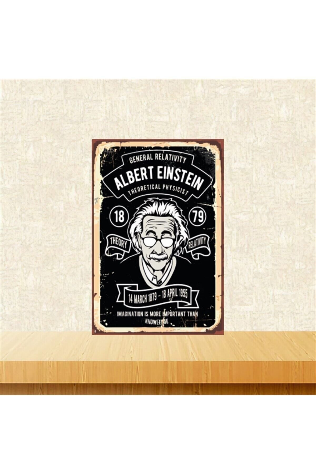 Albert Einstein General Relativity 20-30 Cm Retro Ahşap Tablo Tkfx4711