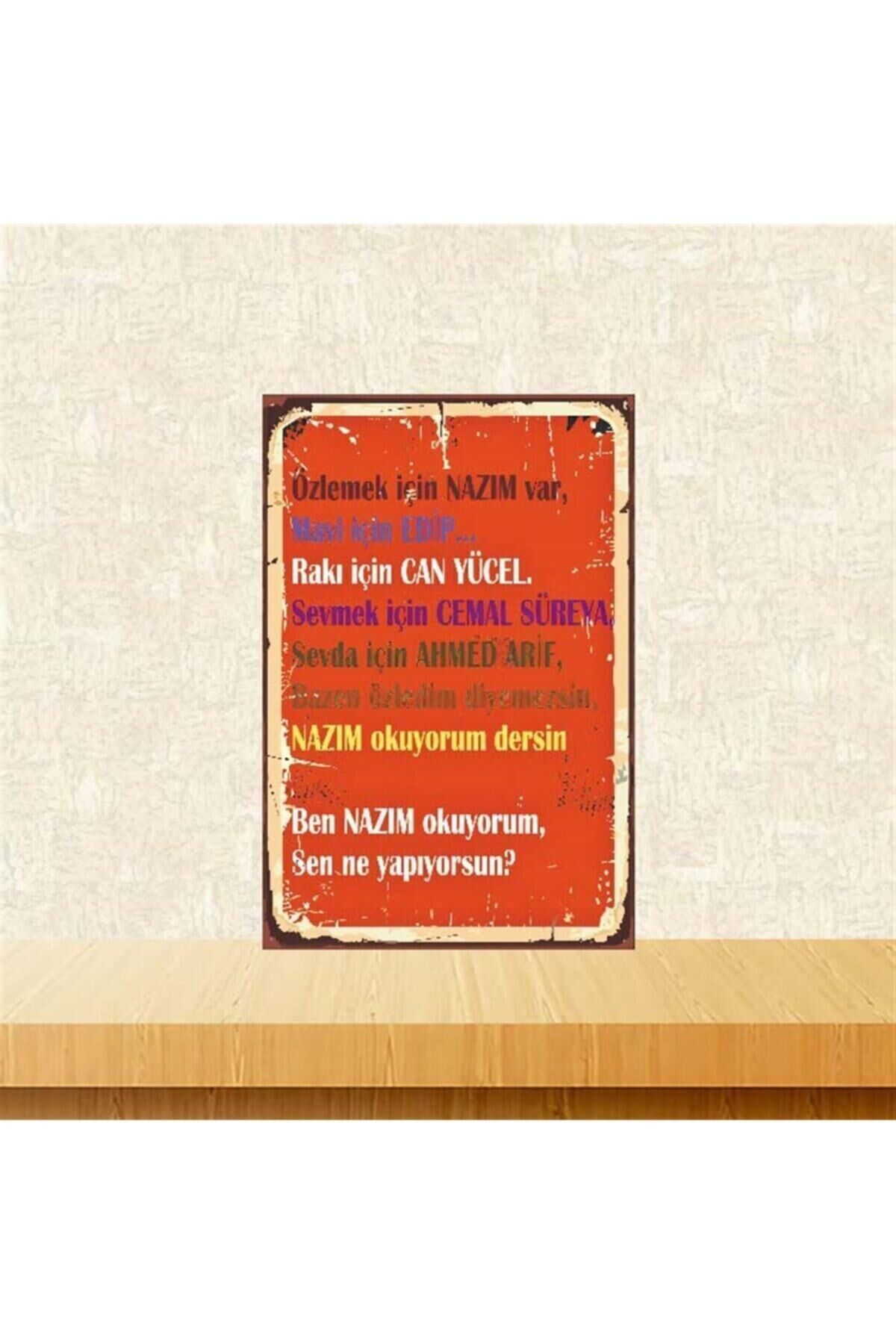 Sen Ne Yapıyorsun 20-30 cm Retro Ahşap Poster Tkfx3668