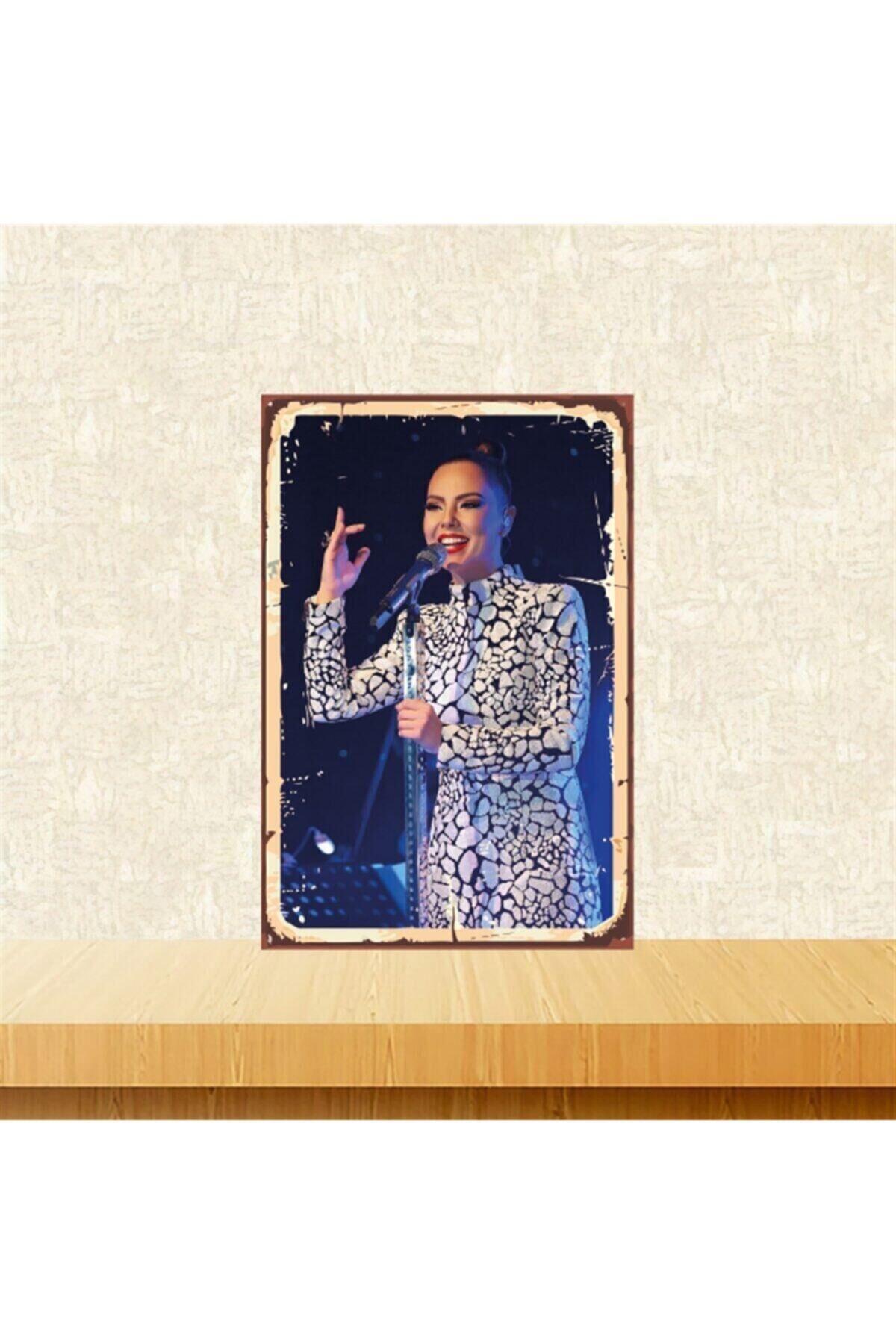 Ebru Gündeş 20-30 Cm Retro Ahşap Tablo Tkfx4656