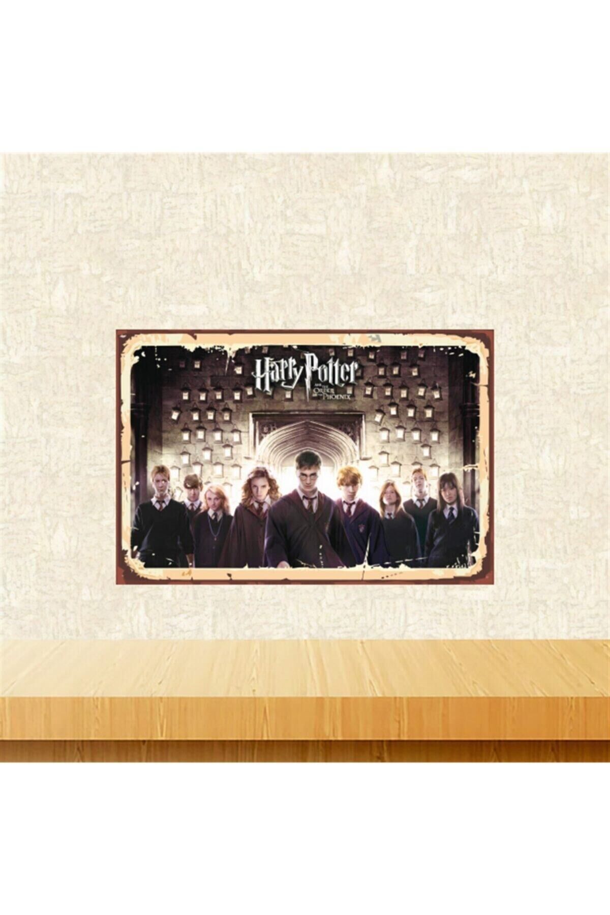 Harry Potter Karakterleri Retro Ahşap Tablo 20-30 cm Tkfx5570