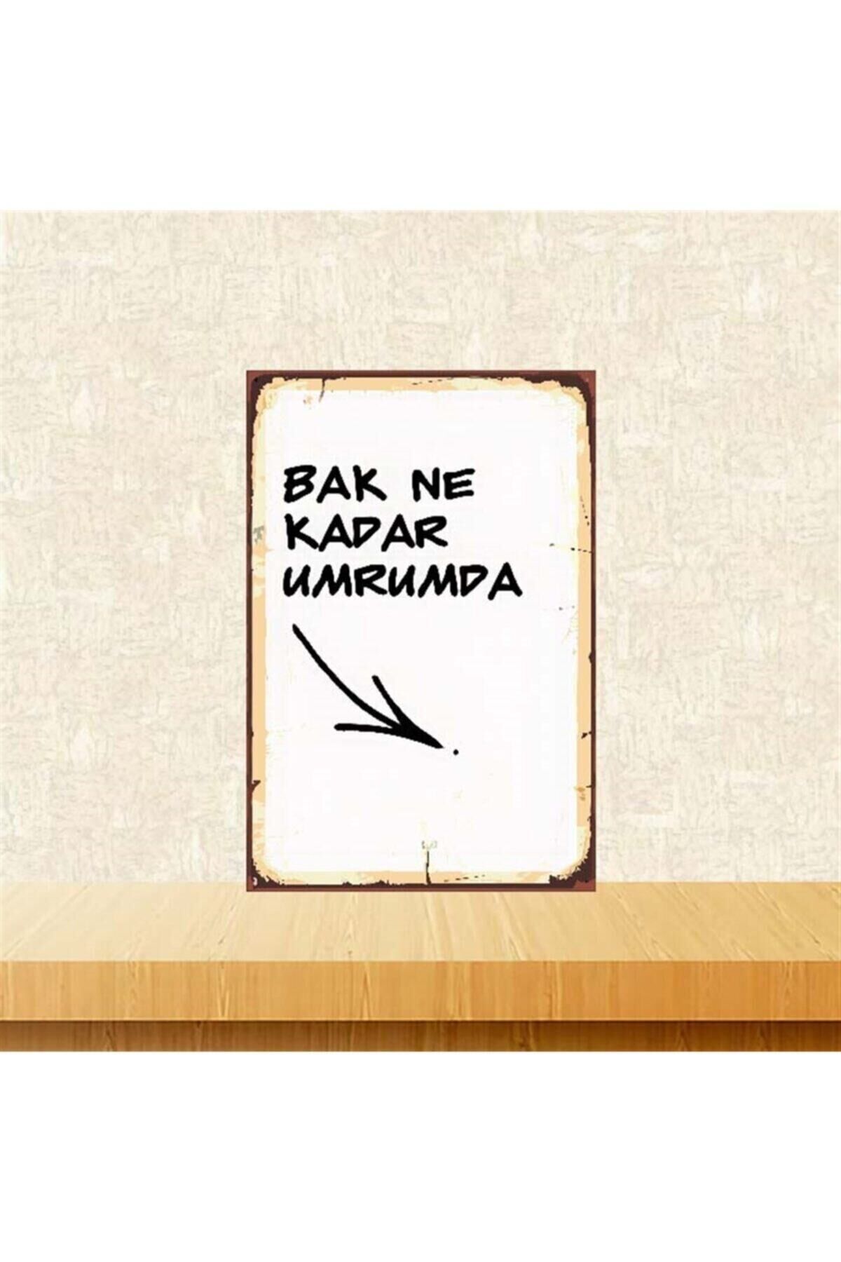 Bak Ne Kadar Umrumda 20-30 Cm Retro Ahşap Poster