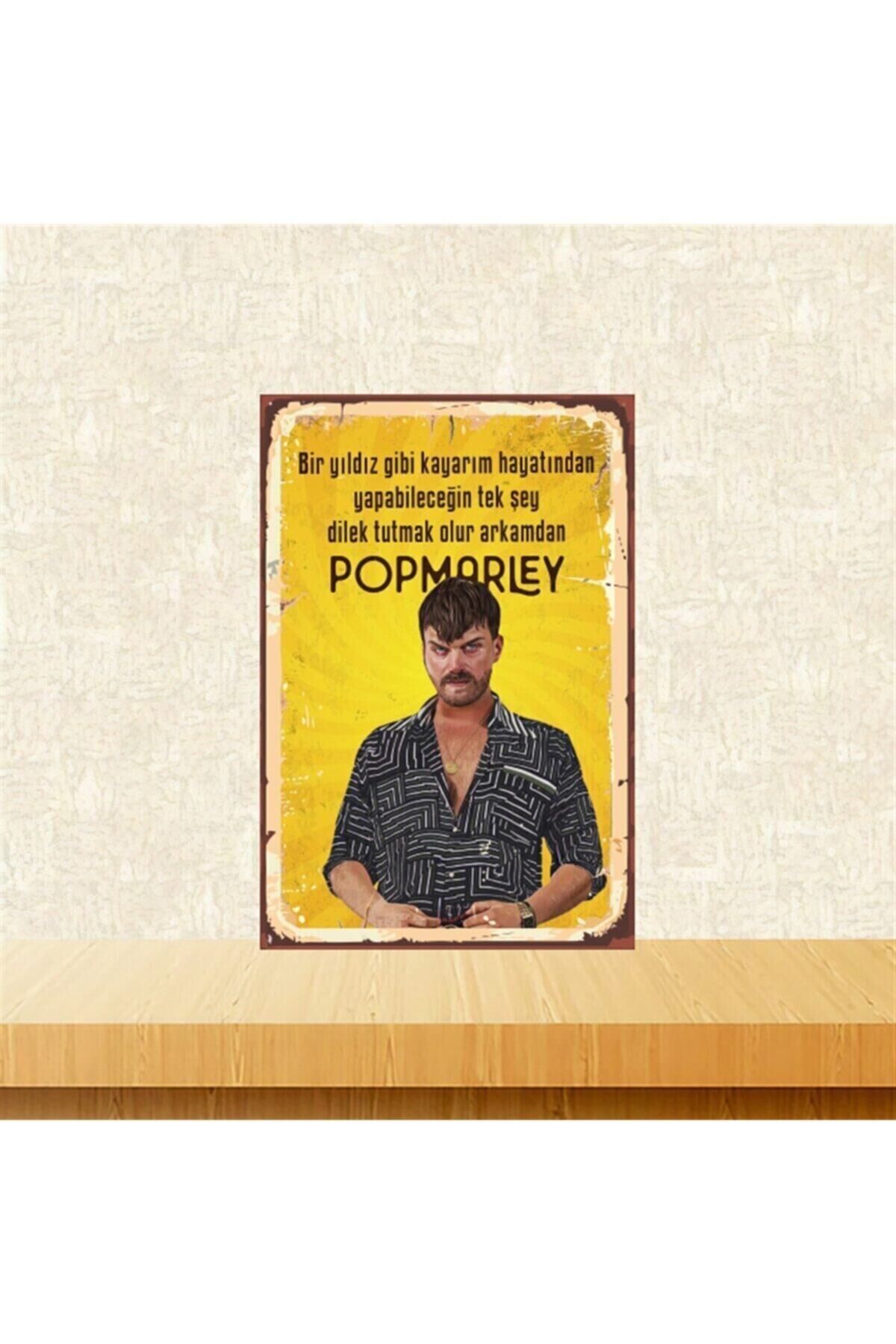 Pop Marley Bir Yıldız Gibi Kayarım Hayatından 20-30 Cm Retro Ahşap Tablo Tkfx4746