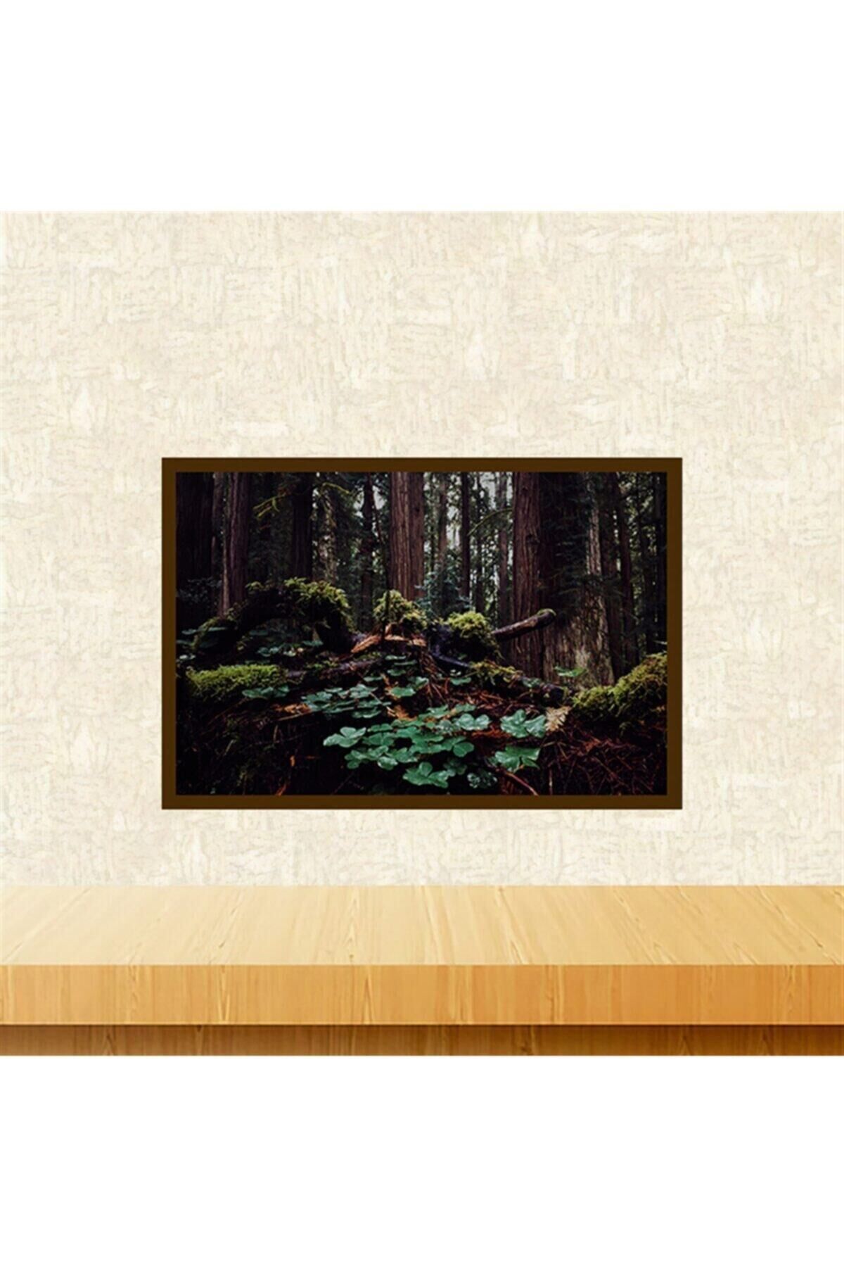 Orman Tasarımlı 20-30 Cm Retro Ahşap Tablo Tkfx5965