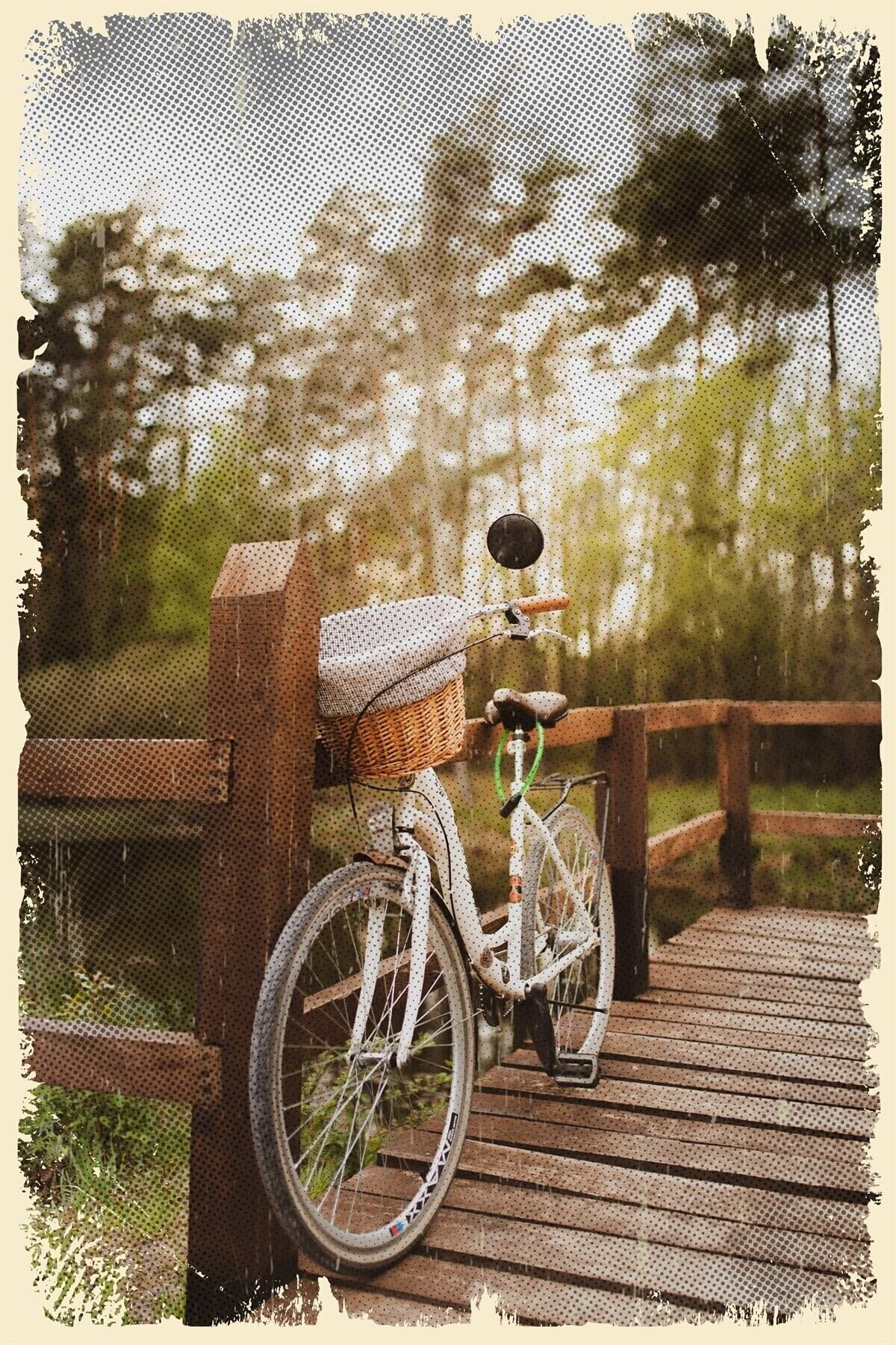 Retro Bisiklet Doğa Temalı Ahşap Poster