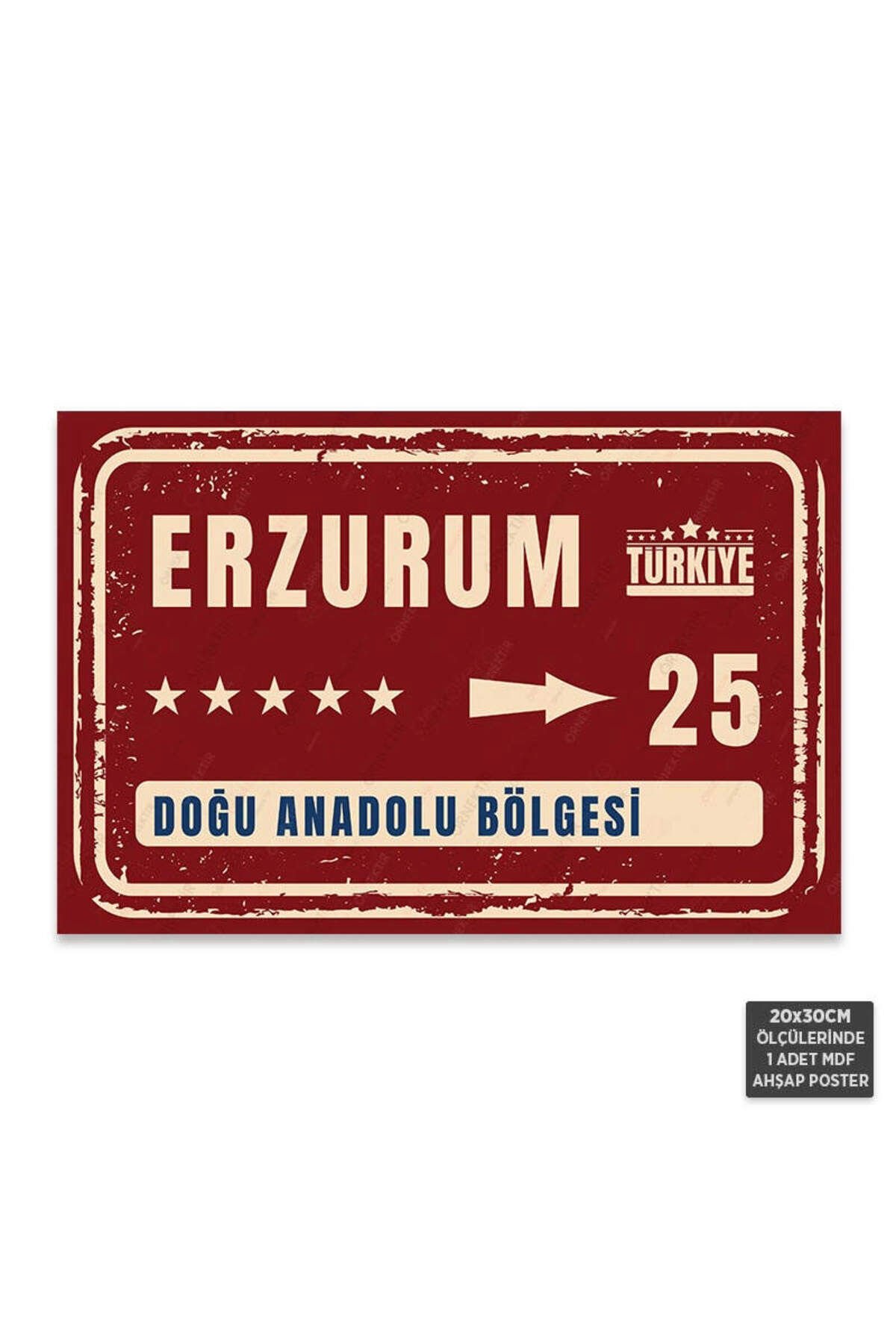 PT1079 - Erzurum Şehir Tabelası Retro Mdf Ahşap Poster (20x30cm)