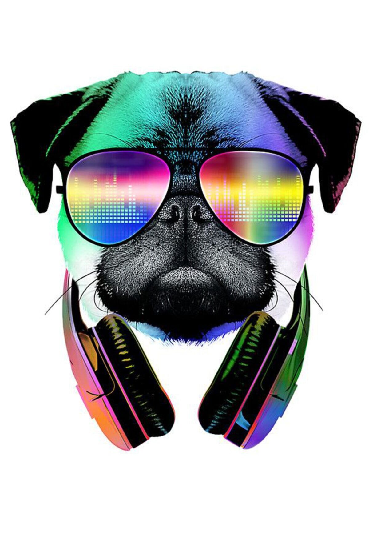 Havalı Gözlüklü Köpek Ahşap Poster 20x30