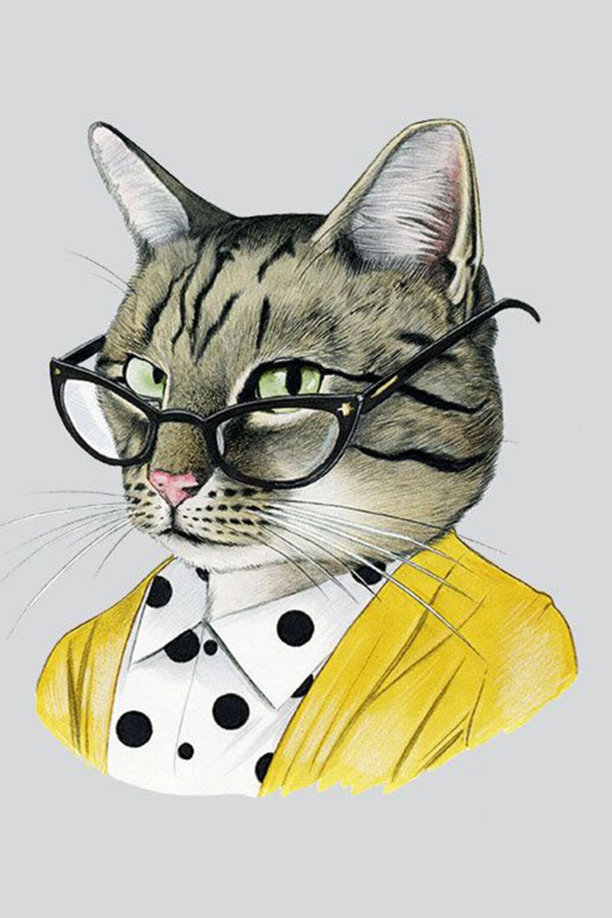 Bilgili Kedi Ahşap Poster 20x30  Mdf