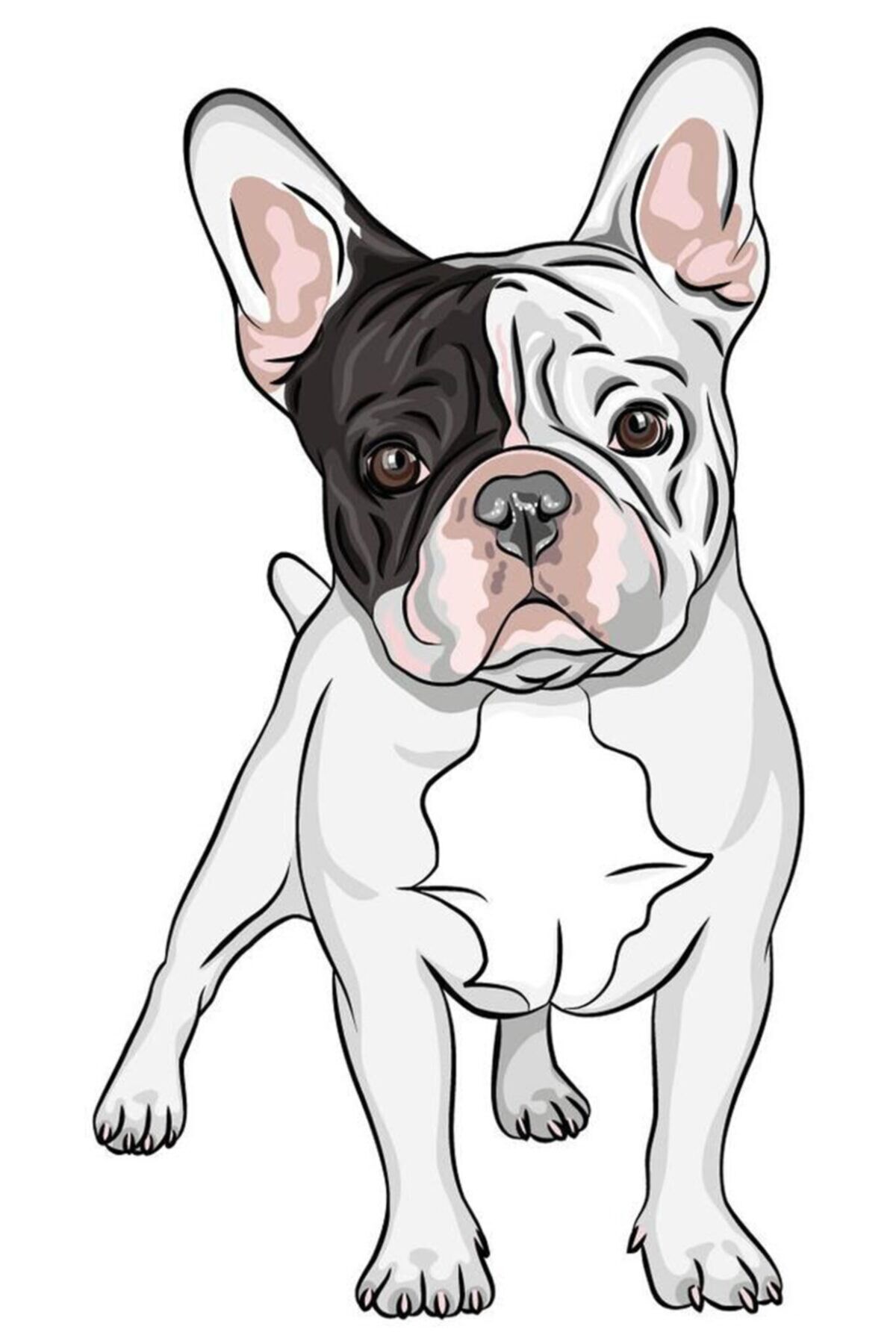 Havalı Köpek Ahşap Poster 20x30 - Mdf