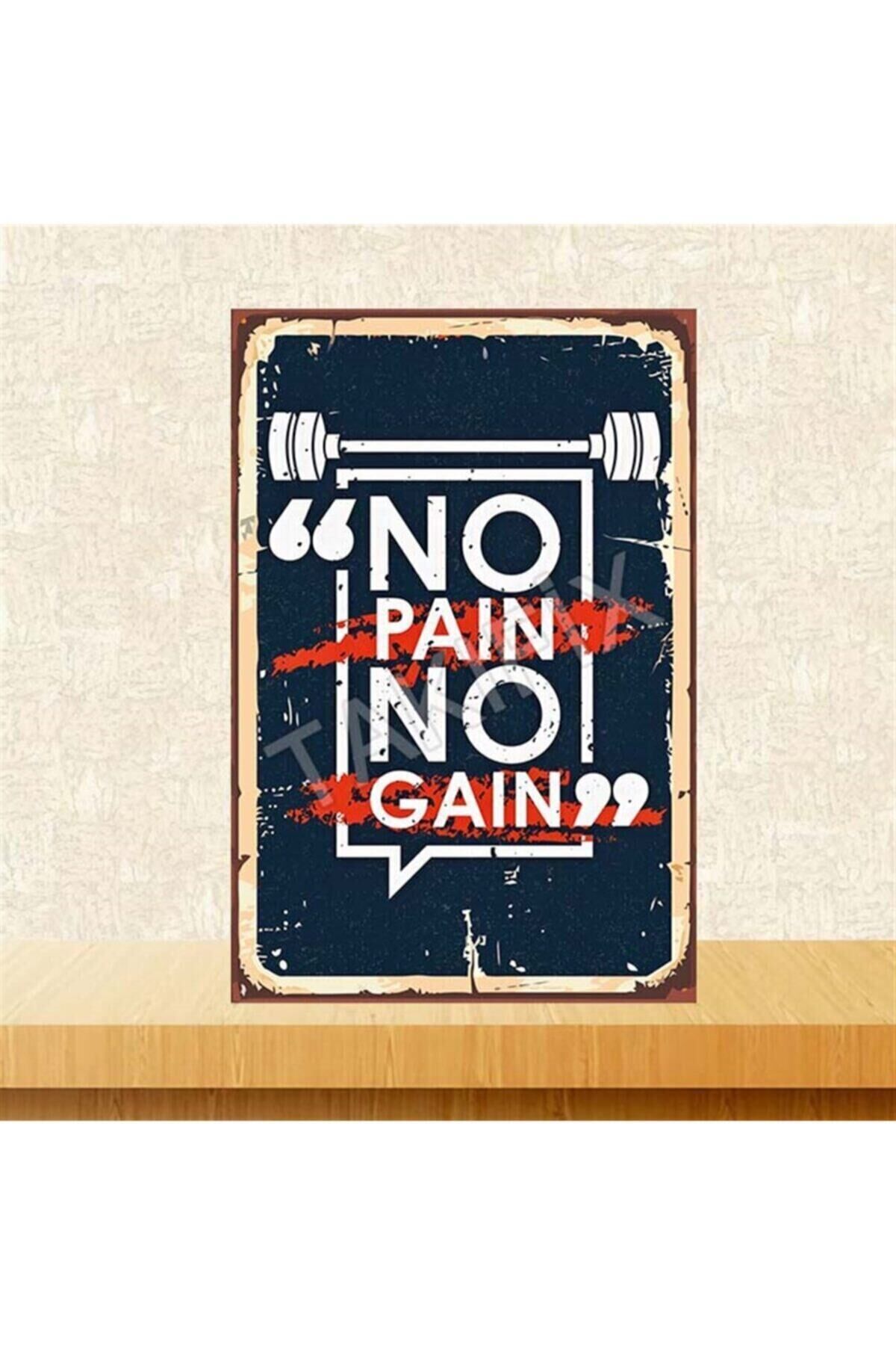No Pain No Gain 20-30 Cm Retro Ahşap Poster