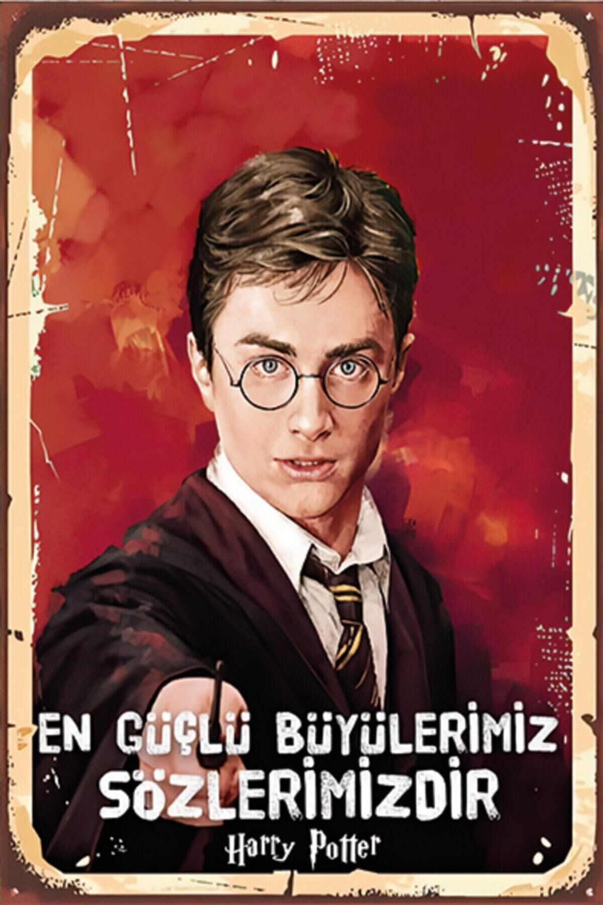 Harry Potter Retro Ahşap Poster