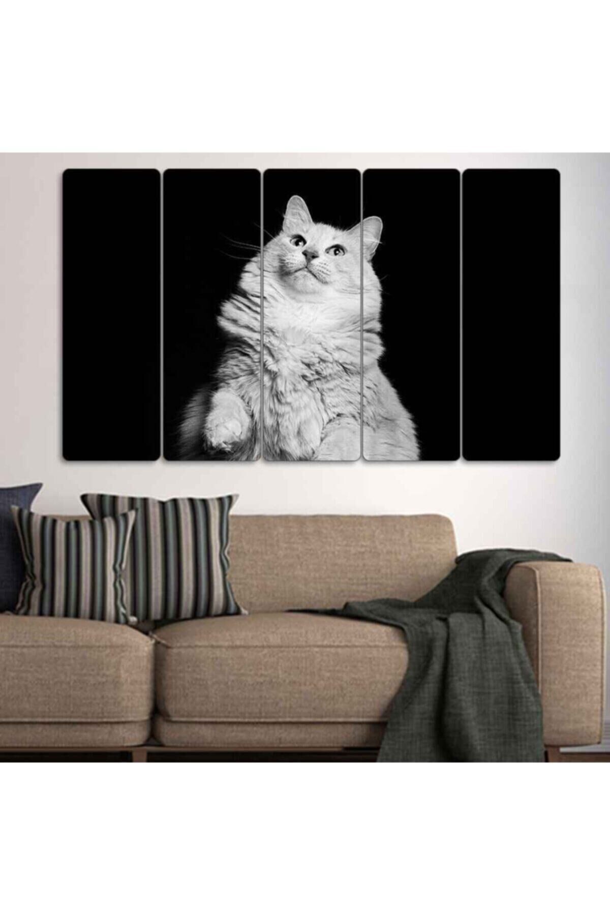 Beyaz Kedi 5 Parçalı Tablo