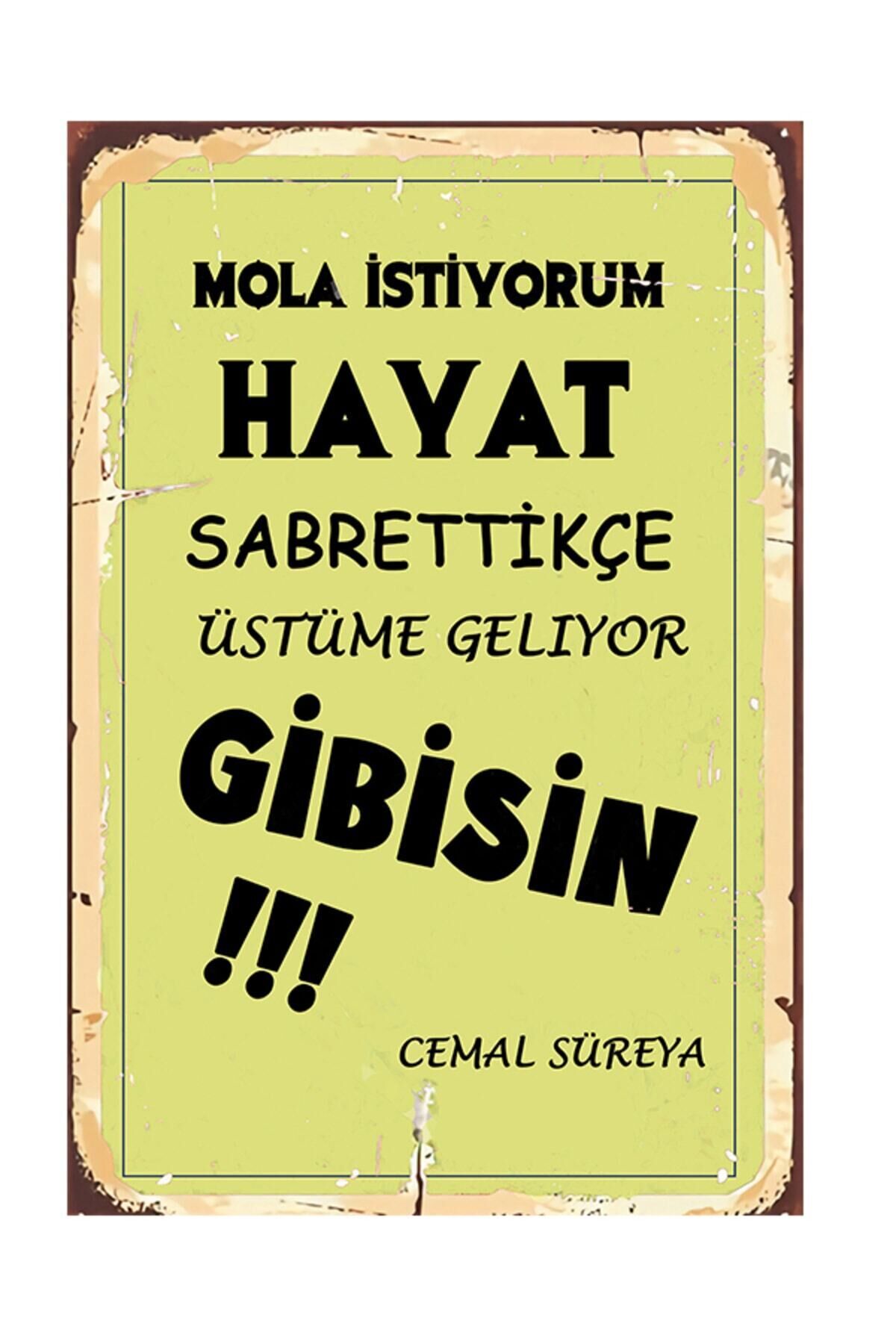 Mola İstiyorum Hayat 20x30 Cm Ahşap Tablo