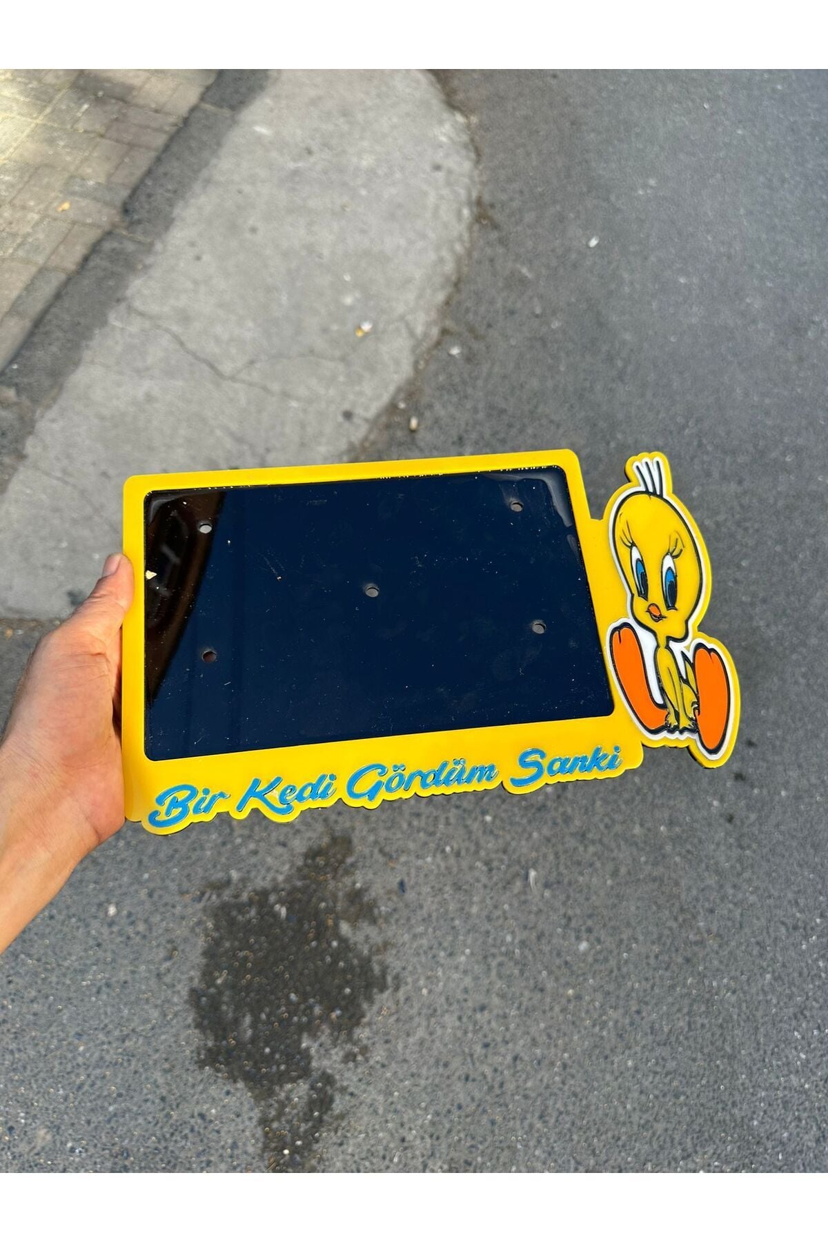 Motor Pleksi Plakalık Uyumlu