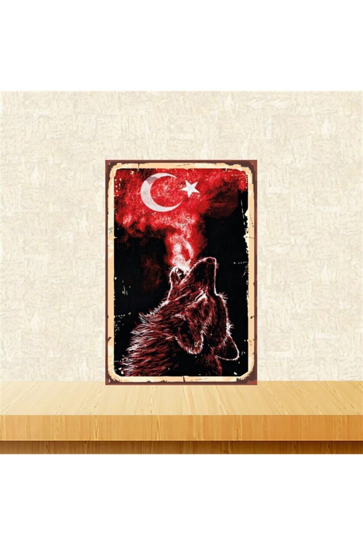 Ayyıldız Ve Kurt 20-30 Cm Retro Ahşap Tablo Tkfx4564