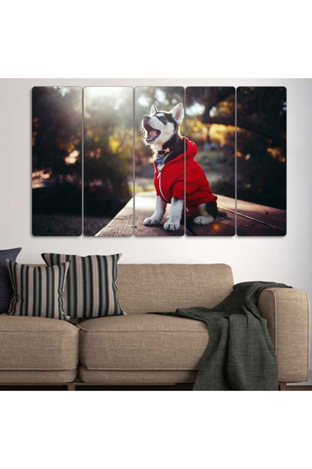 Sibirya Kurdu 5 Parçalı Tablo