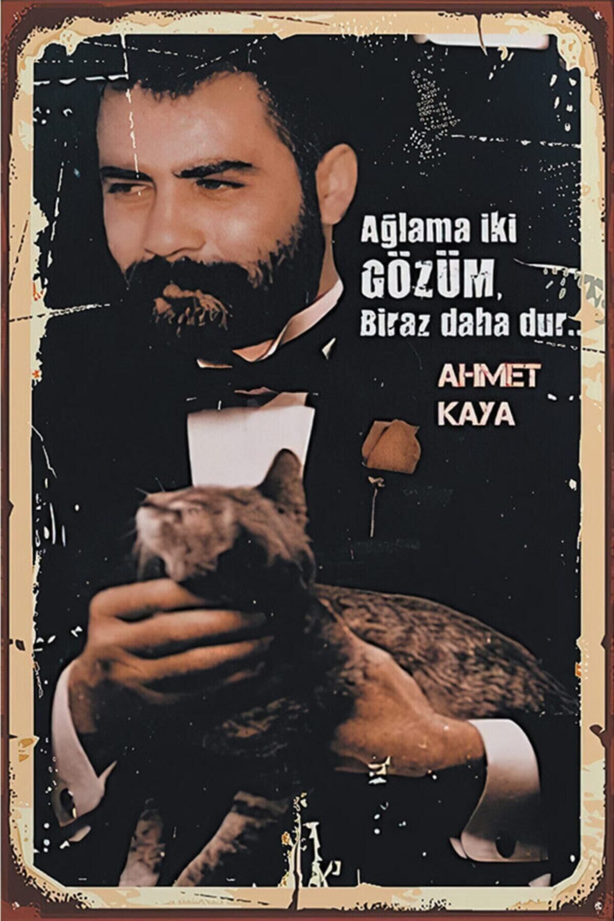 Ahmet Kaya Retro Ahşap Poster 20x30 Mdf Uv Baski