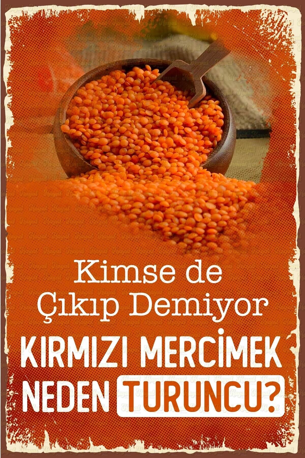 Çıkıp Demiyor Neden Turuncu Retro Ahşap Poster