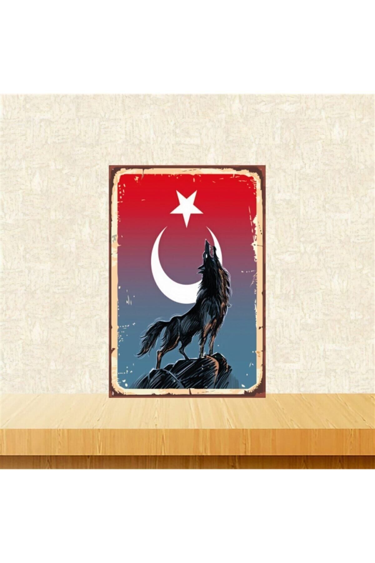 Uluyan Kurt Tasarımlı 20-30 Cm Retro Ahşap Tablo Tkfx4552