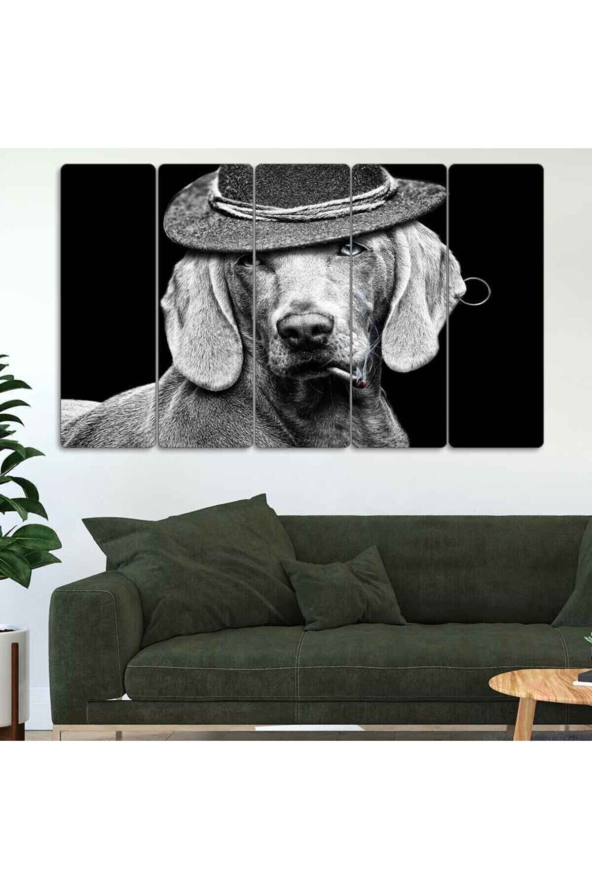 Şapkalı Shiba Köpek 5 Parçalı Tablo