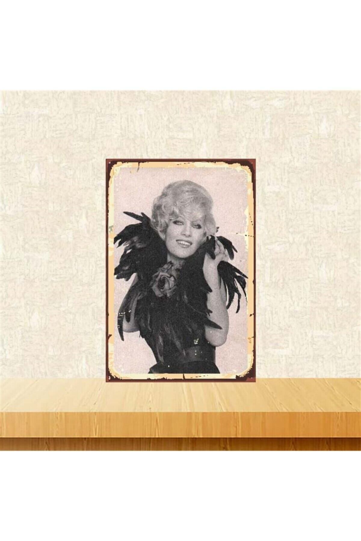 Emel Sayın 20-30 Cm Retro Ahşap Poster Tkfx3880