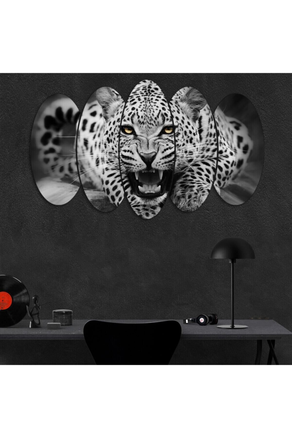 Kaplan - 5 Parçalı Tablo