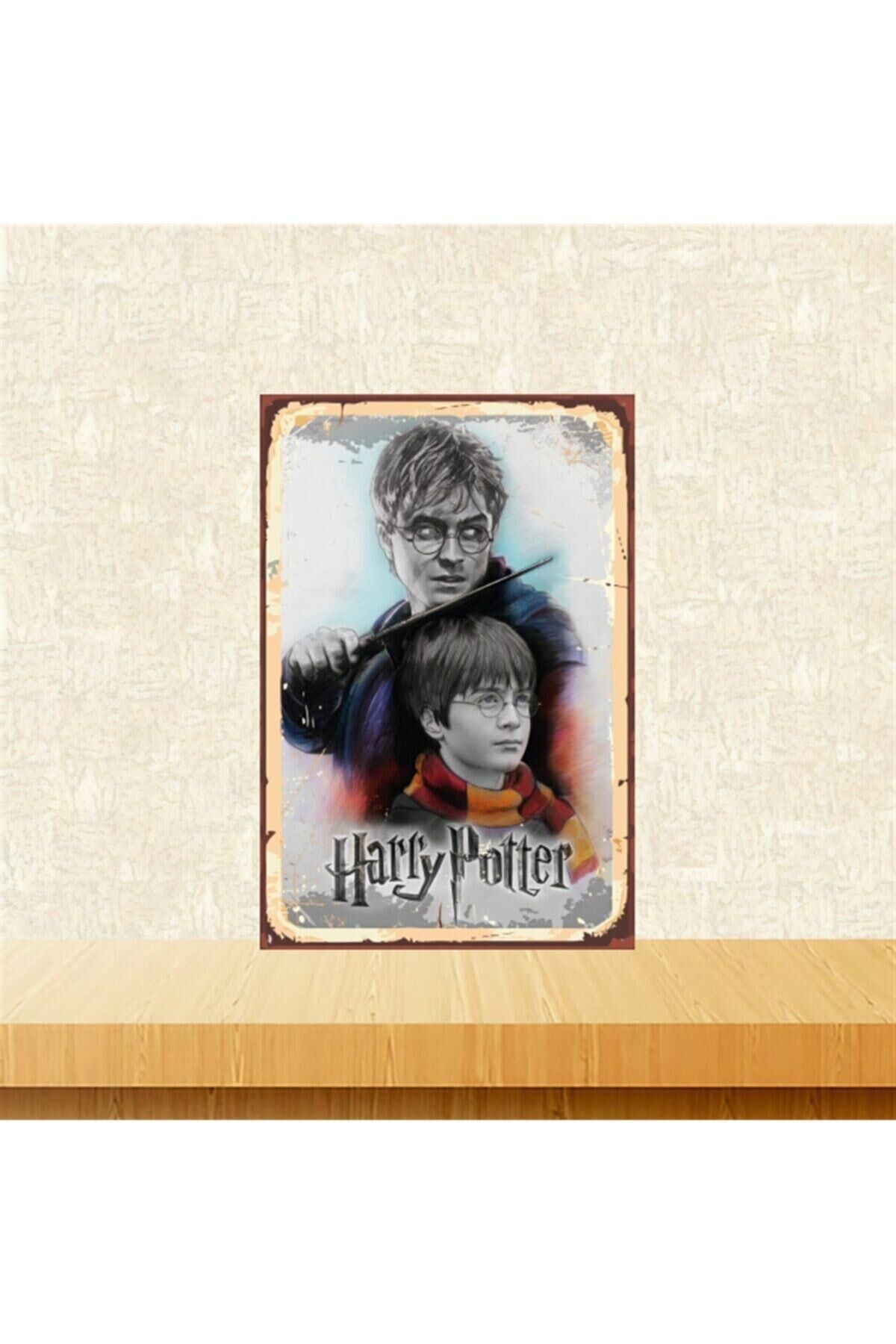 Içimdeki Harry Potter 20-30 Cm Retro Ahşap Tablo Tkfx5116