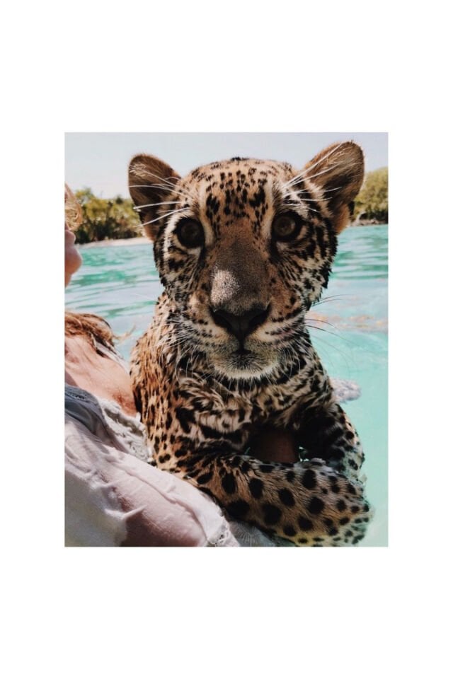 4'lü Ahşap Poster Duvar Seti Mdf 15x10cm