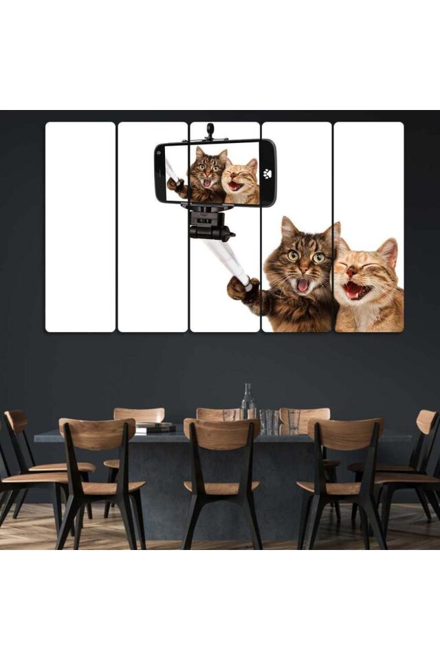 Selfie Çeken Kediler - 5 Parçalı Tablo