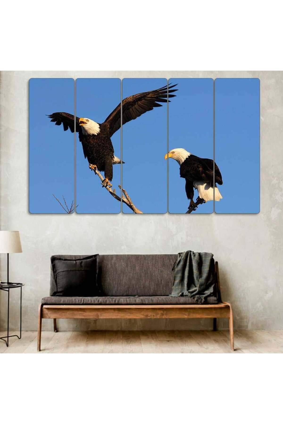 Kel Kartallar, Ağaç Dalında Kartal, Kuş - 5 Parçalı Tablo