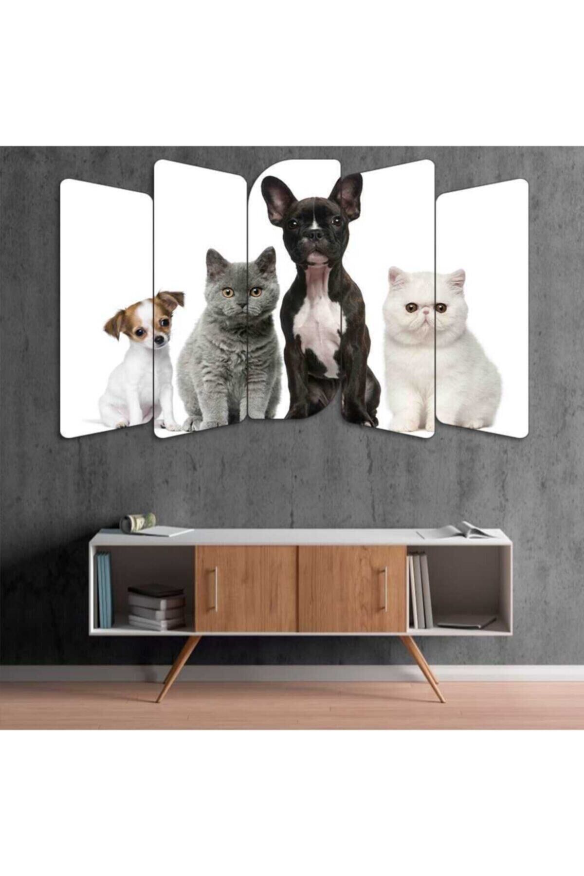 Köpek, Kedi - 5 Parçalı Tablo