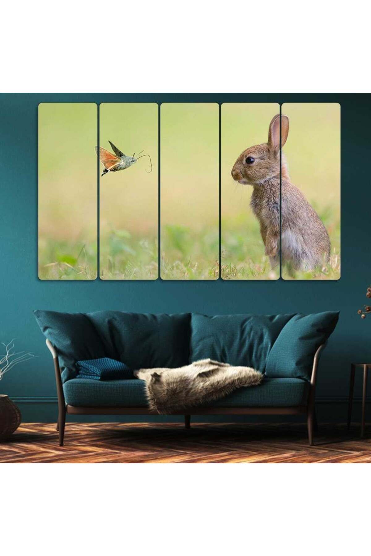 Tavşan ve Güve - 5 Parçalı Tablo