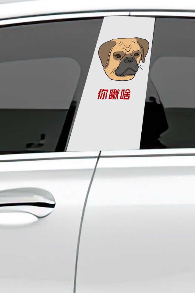 Araç Kapı Direk Kaplama Folyosu Desenli (Sağ Sol Takım) (2 Adet) - 22x50 Cm