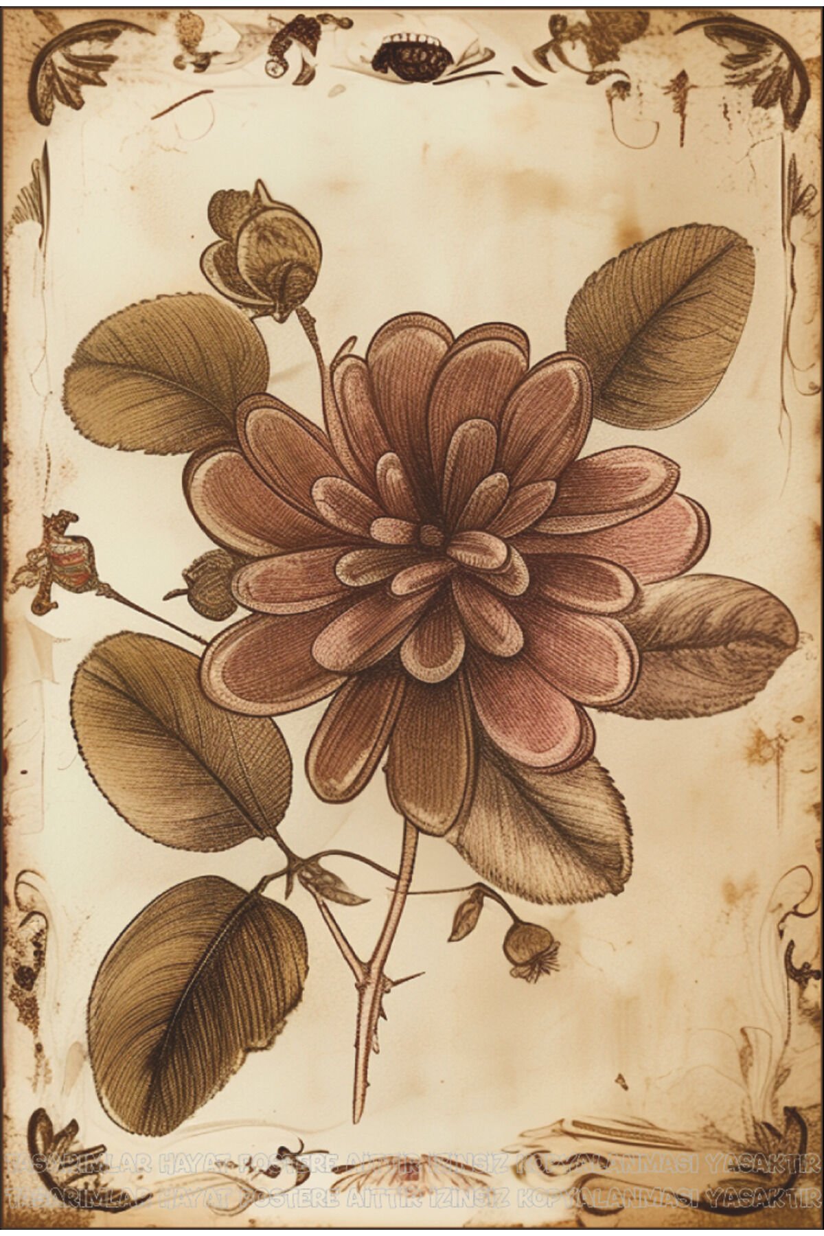 çay bitkisi çiçeği mutfak ev dekorasyon tablo vintage retro ahşap poster