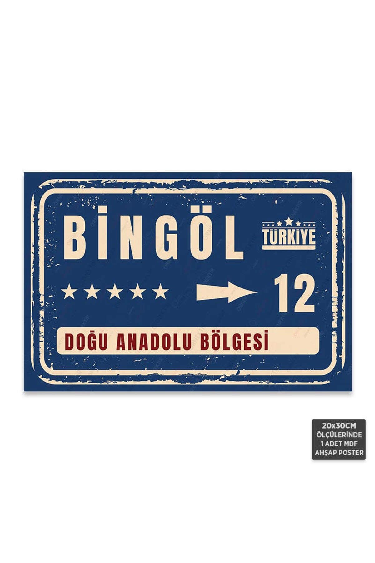 PT1054 - Bingöl Şehir Tabelası Retro Mdf Ahşap Poster (20x30cm)