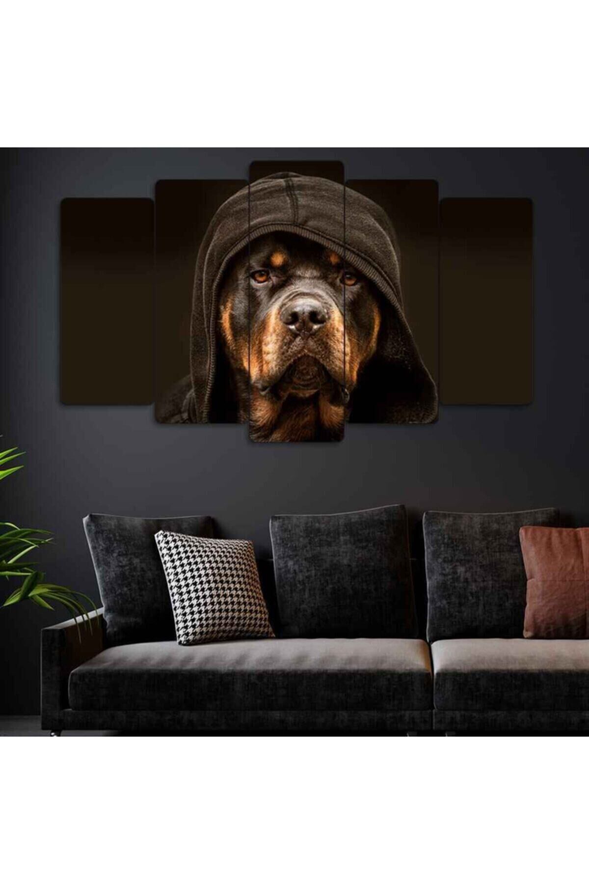 Kapüşonlu Rottweiler Köpek - 5 Parçalı Tablo