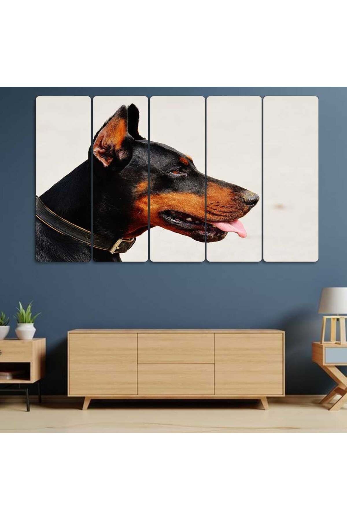 Doberman, Köpek - 5 Parçalı Tablo